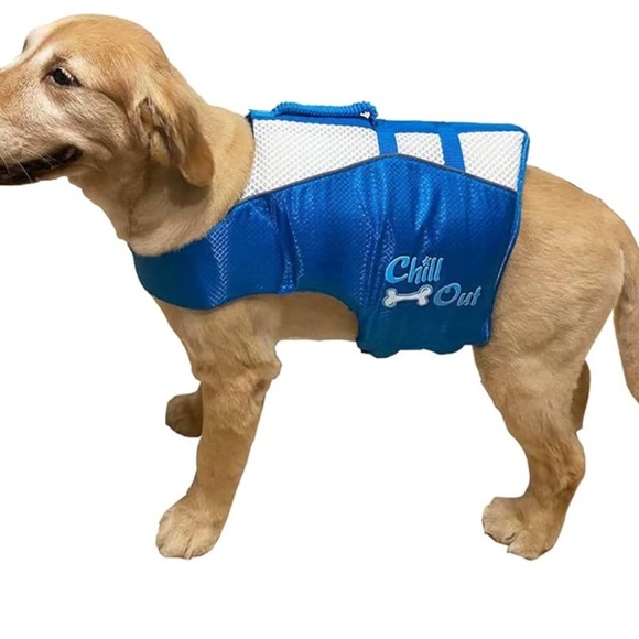 🆕‼️ - NWT - All For Paws Blue Dog Life Vest - Size M 🐶 - Picture 1 of 7